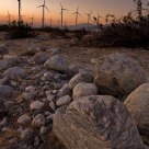Windfarm Morning